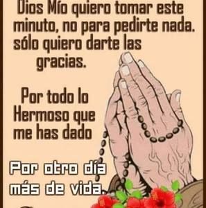 Meet your Posher, Lorenzo nicolas lopez